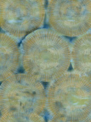 LUXERIA – ARTE-Design 08